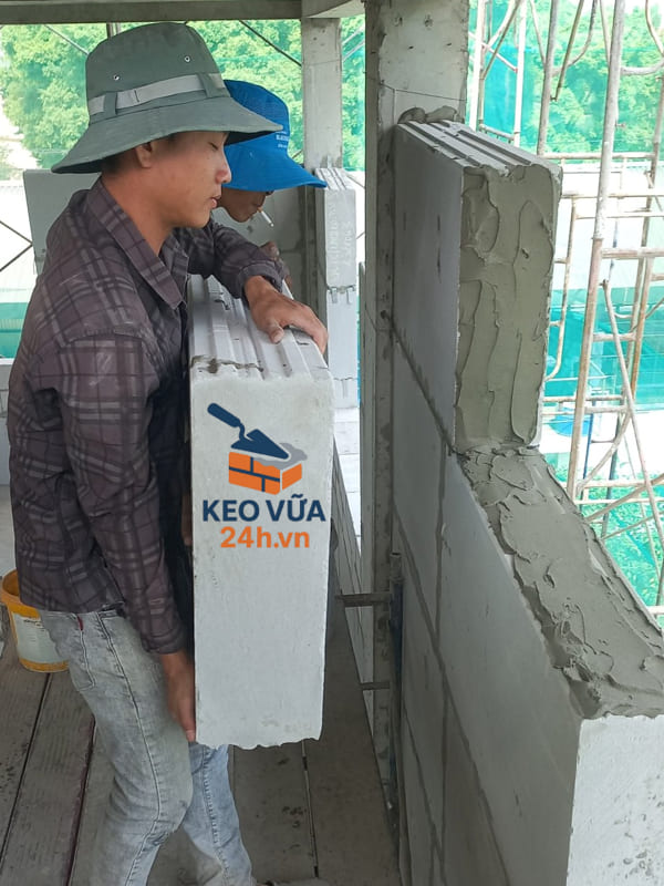 Thi công lắp ghép tấm tường bê tông nhẹ cùng keo dán tấm chuyên dụng.