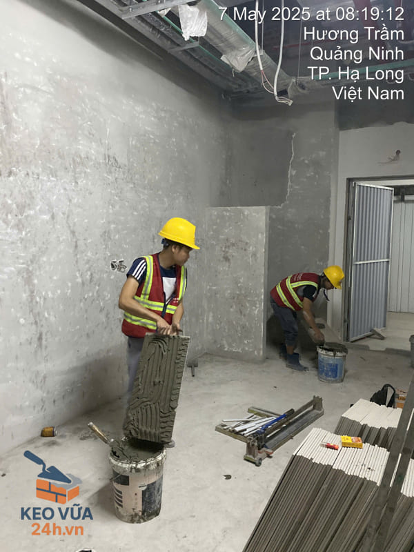Thi công keo dán gạch Mater tại công trình xây dựng